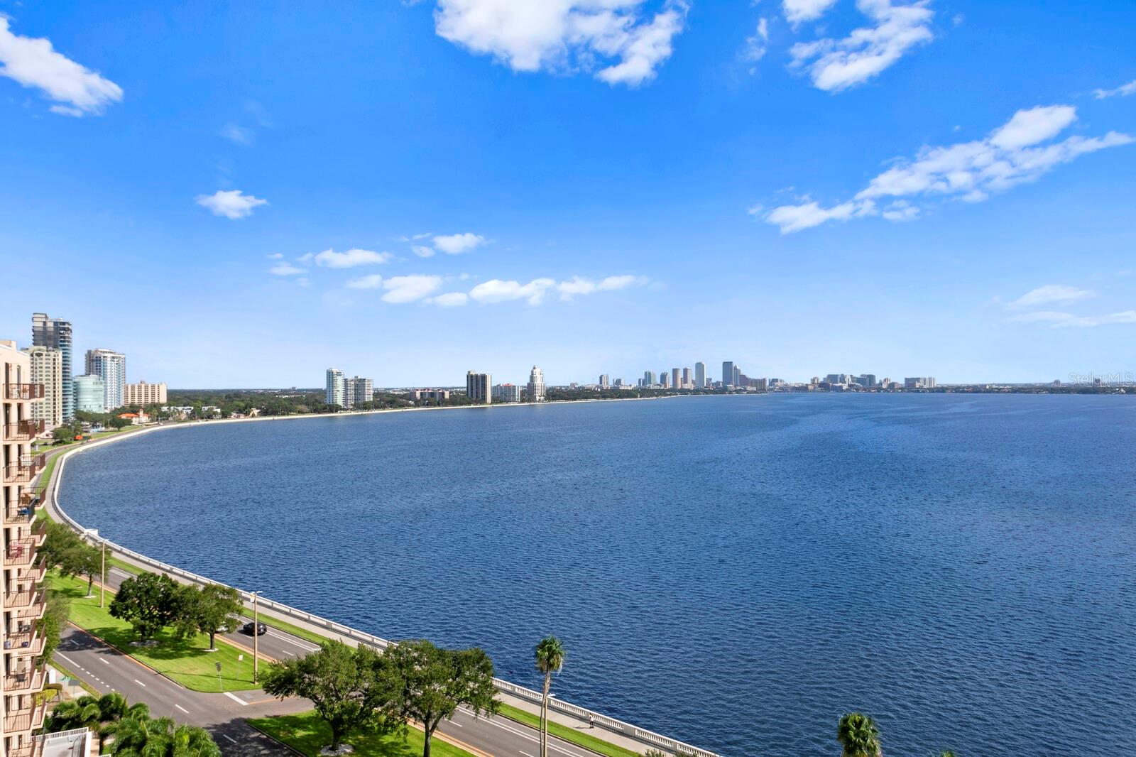 3507 BAYSHORE BLVD #1202, TAMPA, FL, 33629