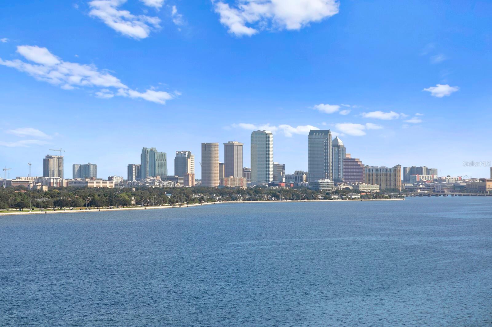 3507 BAYSHORE BLVD #1202, TAMPA, FL, 33629