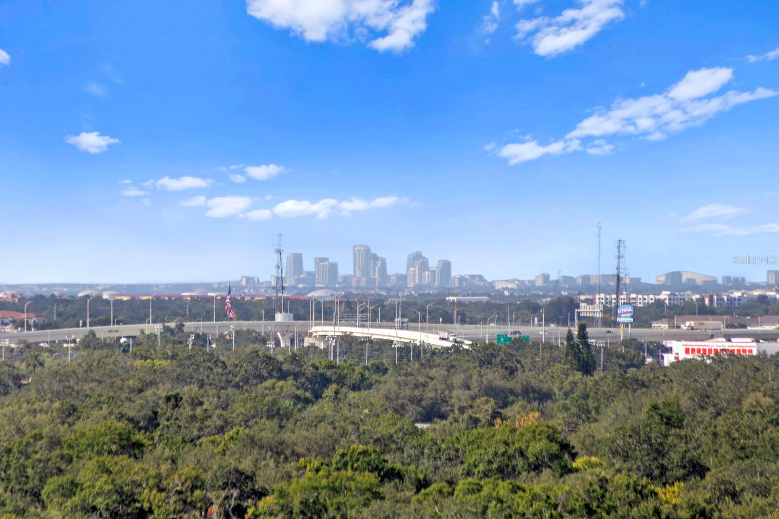 3507 BAYSHORE BLVD #1202, TAMPA, FL, 33629
