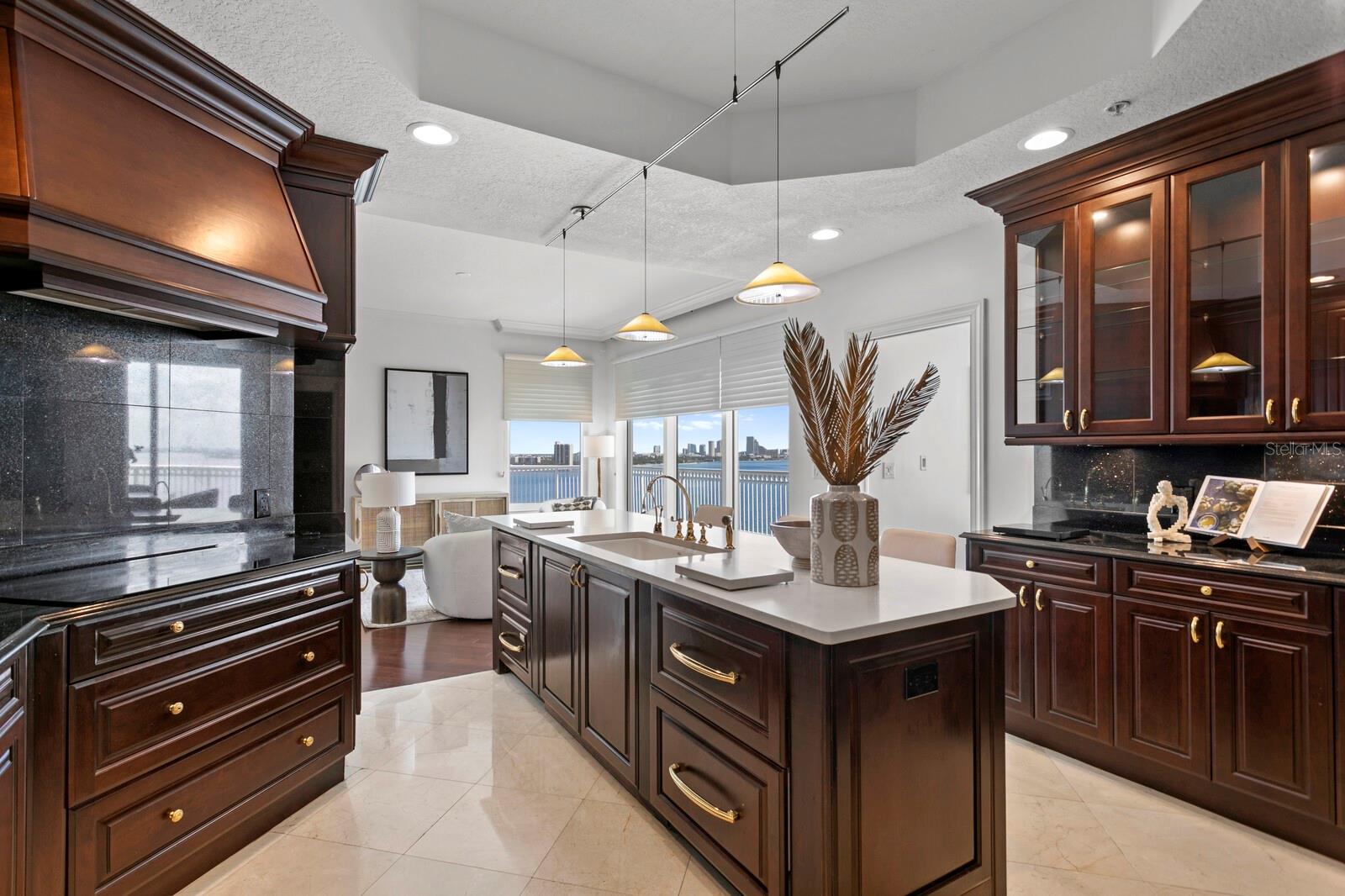 3507 BAYSHORE BLVD #1202, TAMPA, FL, 33629