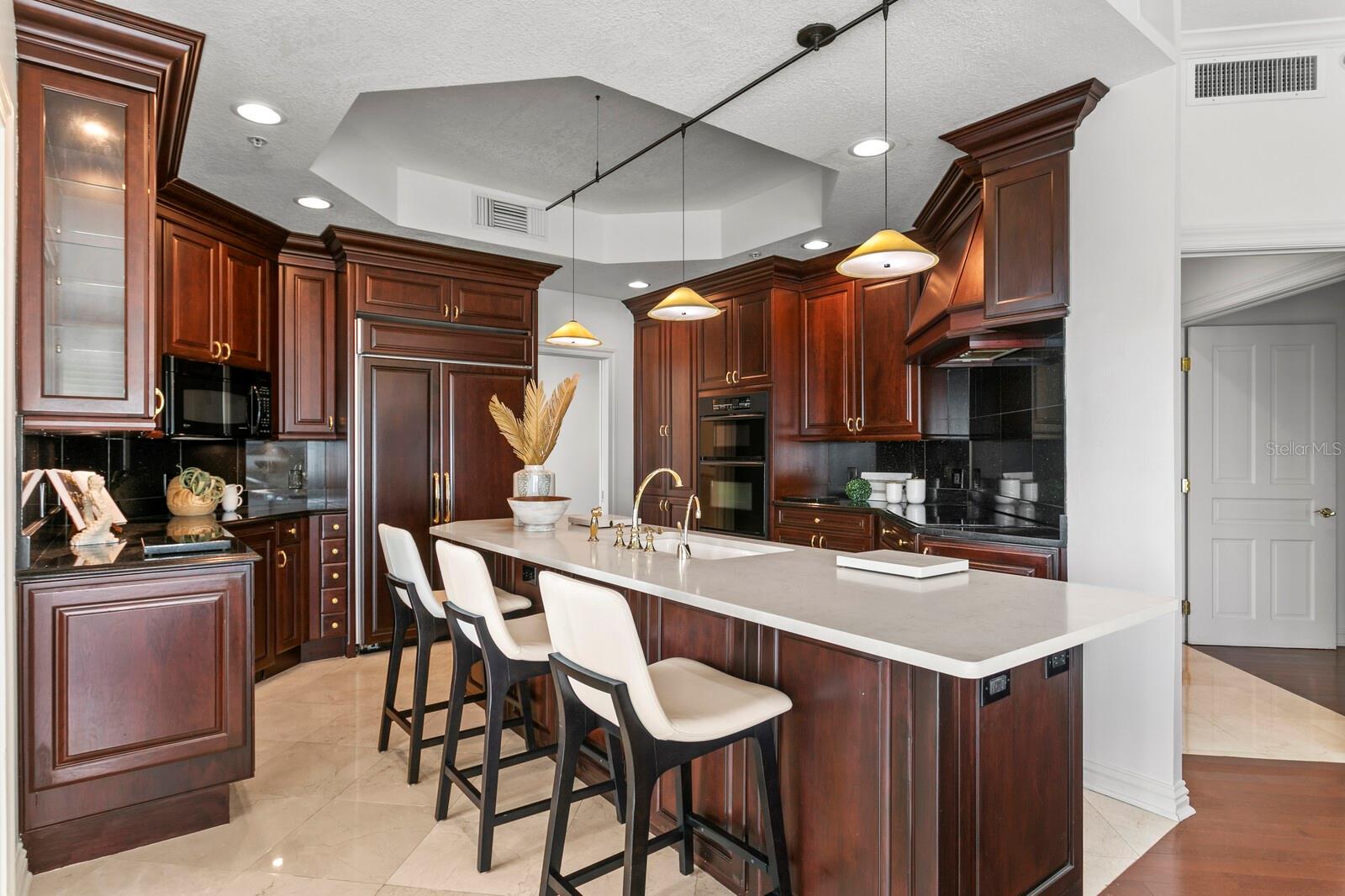 3507 BAYSHORE BLVD #1202, TAMPA, FL, 33629