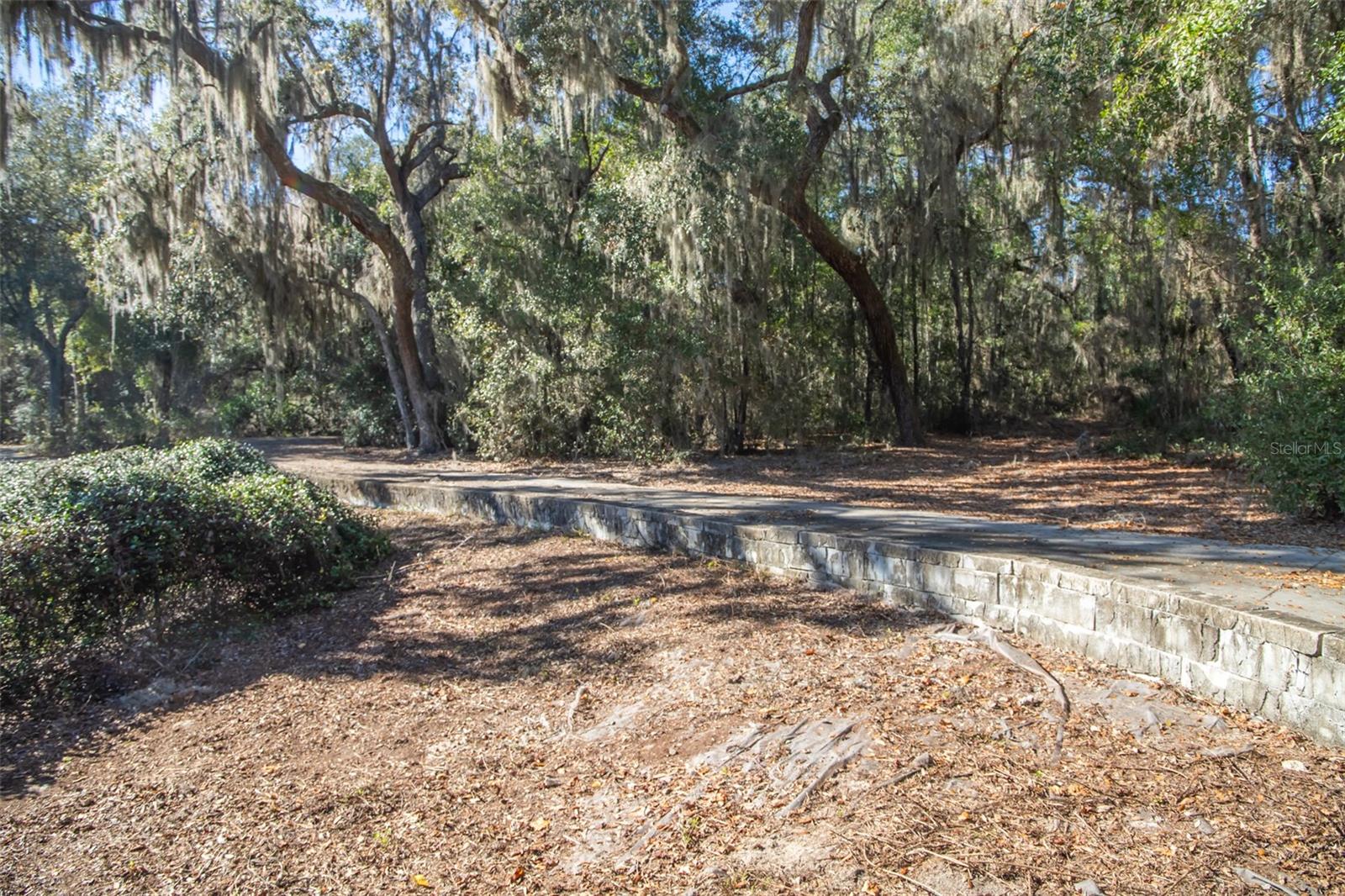 240 SWAN LAKE DR, MELROSE, FL, 32666