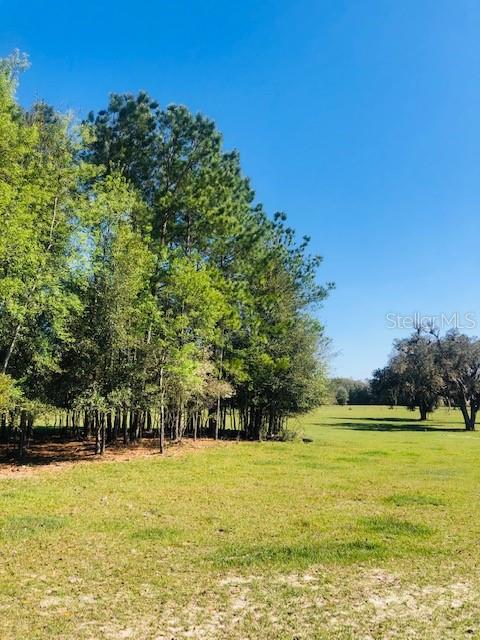 NW 145TH-WESTFIELD-LOT 2, MORRISTON, FL, 32668