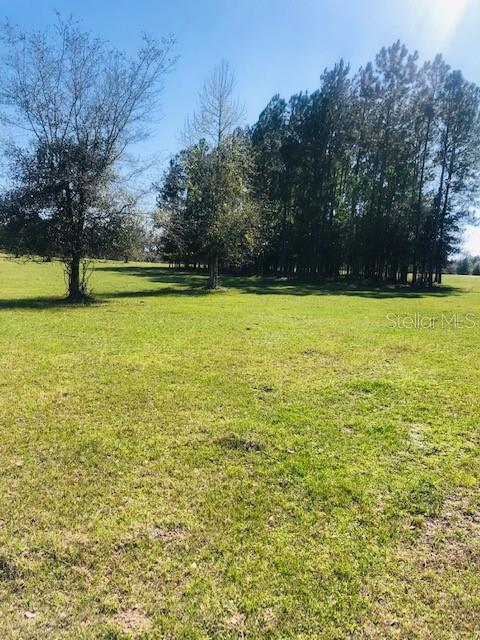NW 145TH-WESTFIELD-LOT 2, MORRISTON, FL, 32668