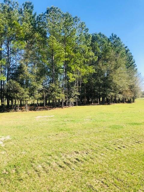 NW 145TH-WESTFIELD-LOT 2, MORRISTON, FL, 32668