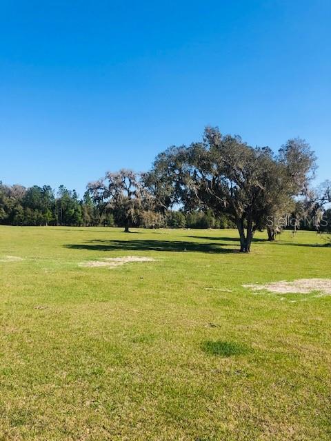 NW 145TH-WESTFIELD-LOT 2, MORRISTON, FL, 32668