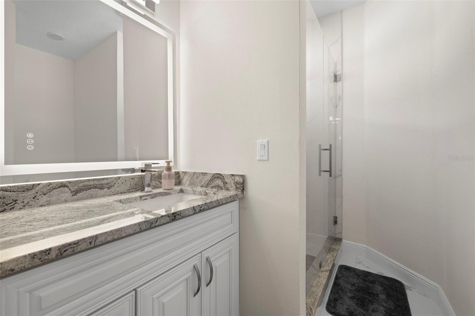 15214 OCTAVIA LN, ODESSA, FL, 33556