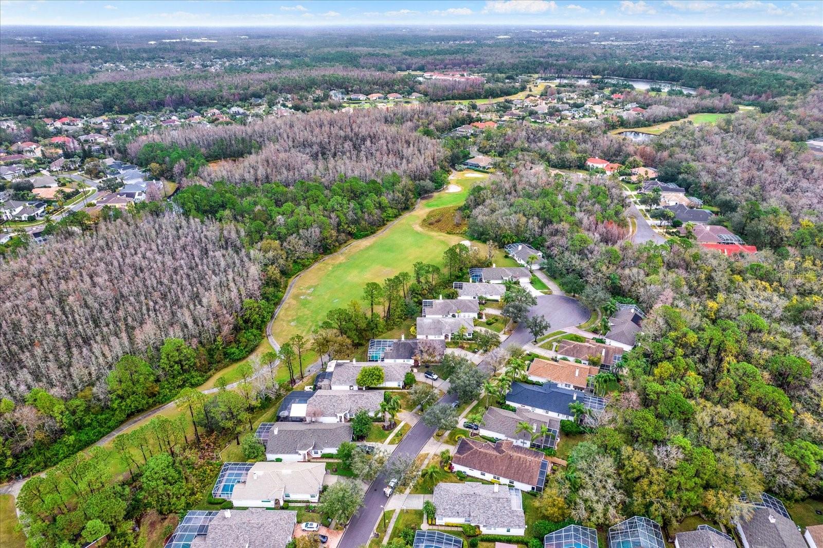 12118 GLENCLIFF CIR, TAMPA, FL, 33626