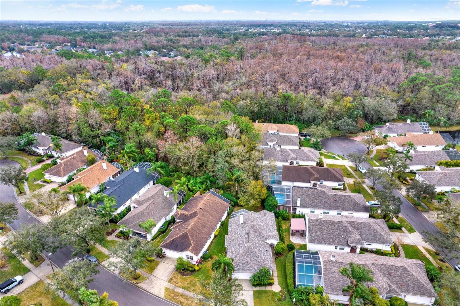 12118 GLENCLIFF CIR, TAMPA, FL, 33626