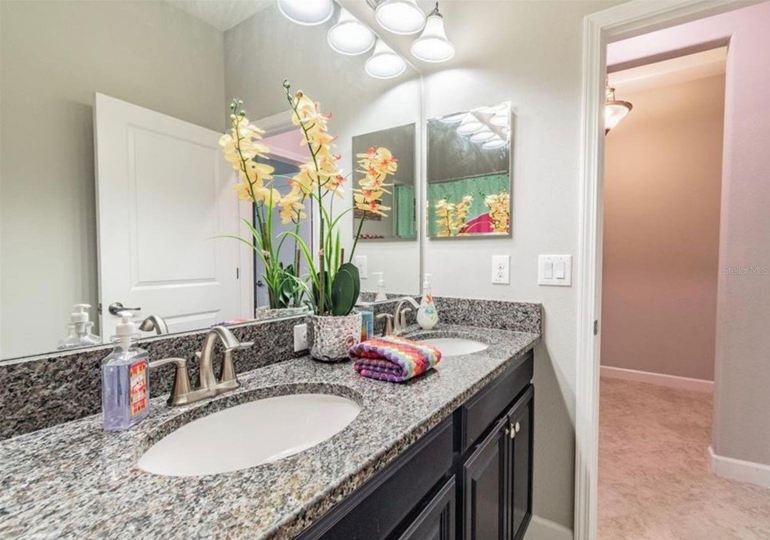 2576 BARTOLO DR, LAND O LAKES, FL, 34639
