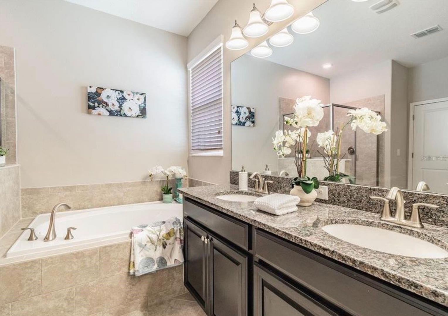 2576 BARTOLO DR, LAND O LAKES, FL, 34639