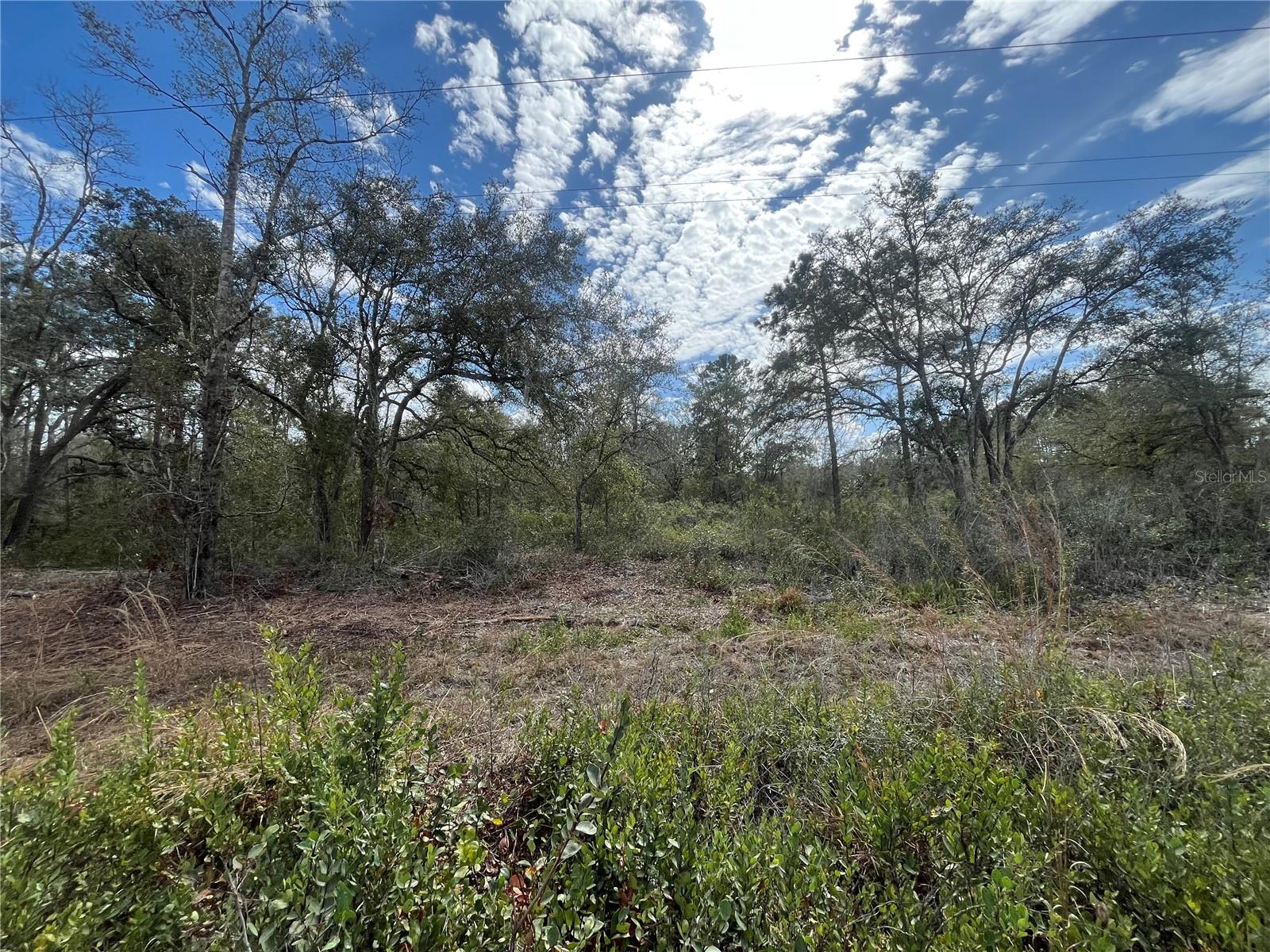 SW 158TH, DUNNELLON, FL, 34432