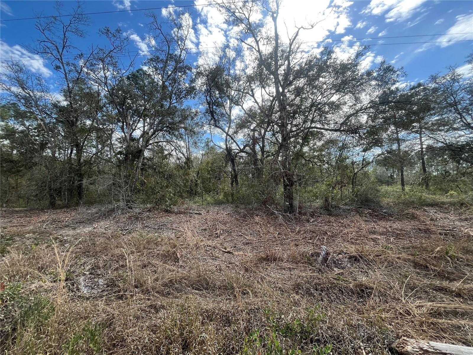 SW 158TH, DUNNELLON, FL, 34432