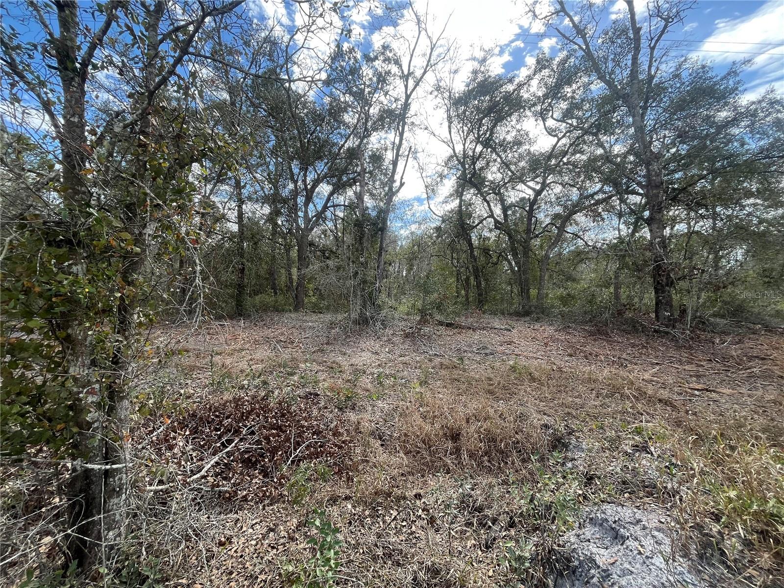 SW 158TH, DUNNELLON, FL, 34432