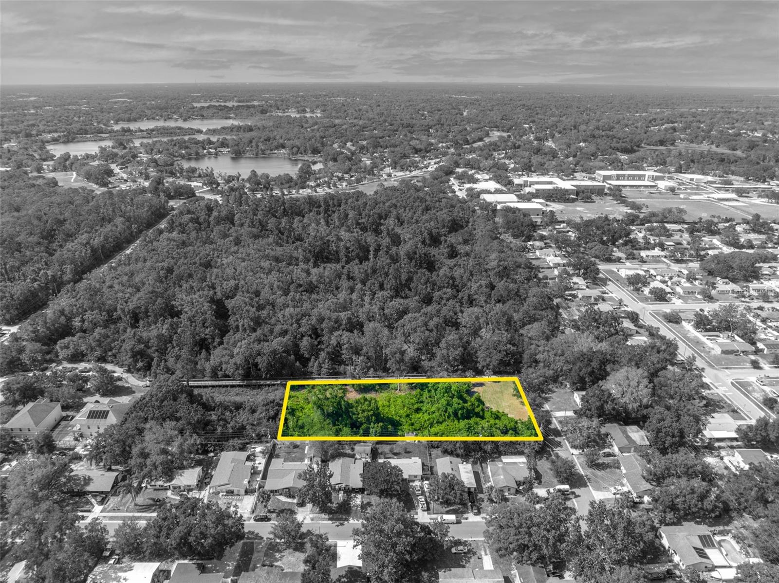 MARIGOLD, CASSELBERRY, FL, 32707