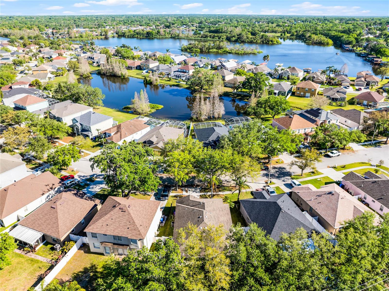 1652 OPEN FIELD LOOP, BRANDON, FL, 33510