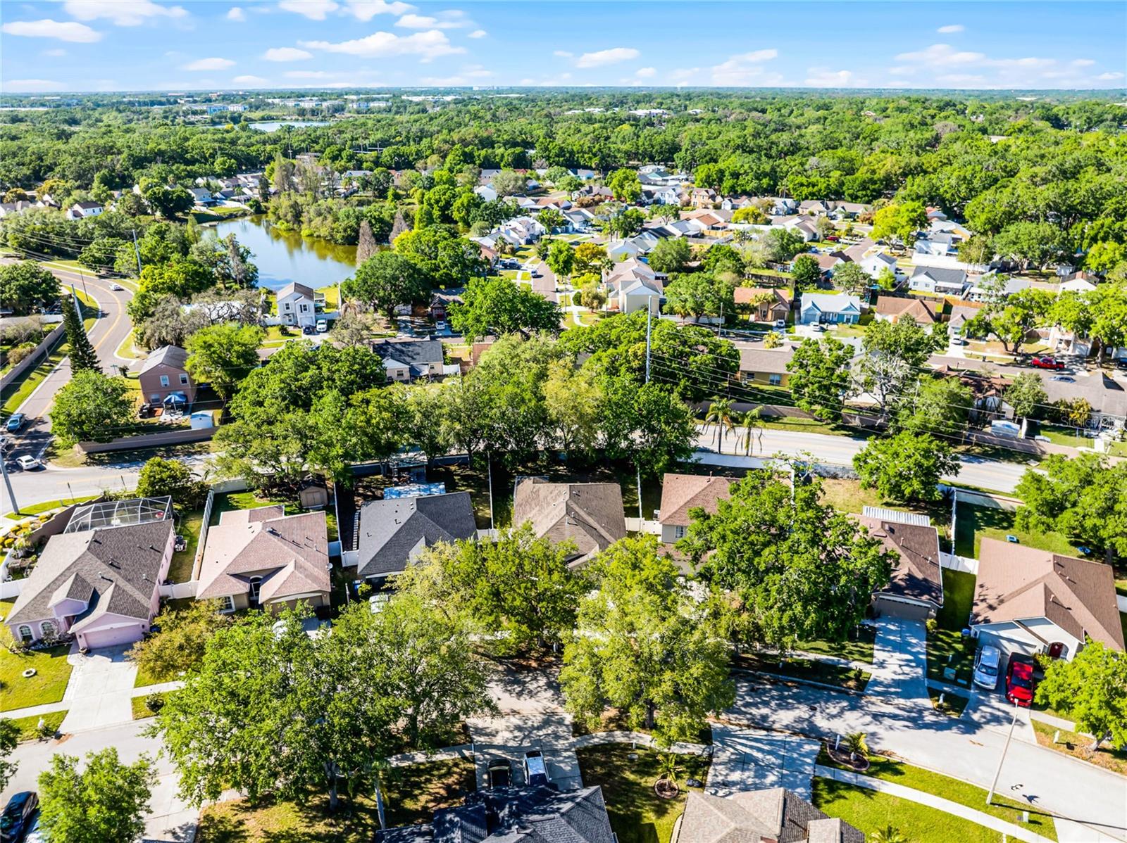 1652 OPEN FIELD LOOP, BRANDON, FL, 33510