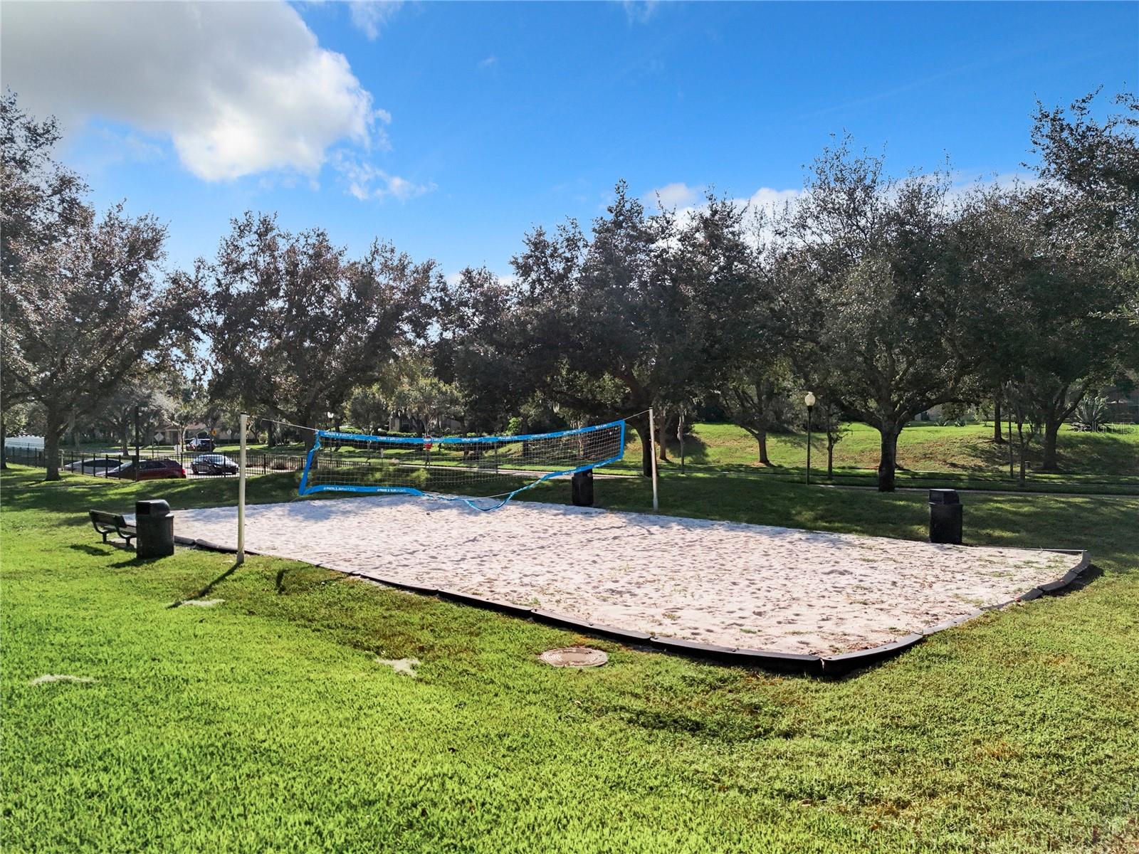 2439 BREEZY MEADOW RD, APOPKA, FL, 32712