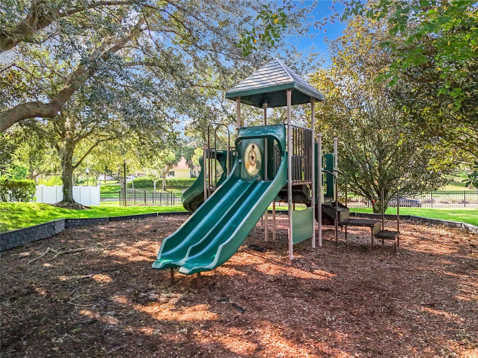2439 BREEZY MEADOW RD, APOPKA, FL, 32712
