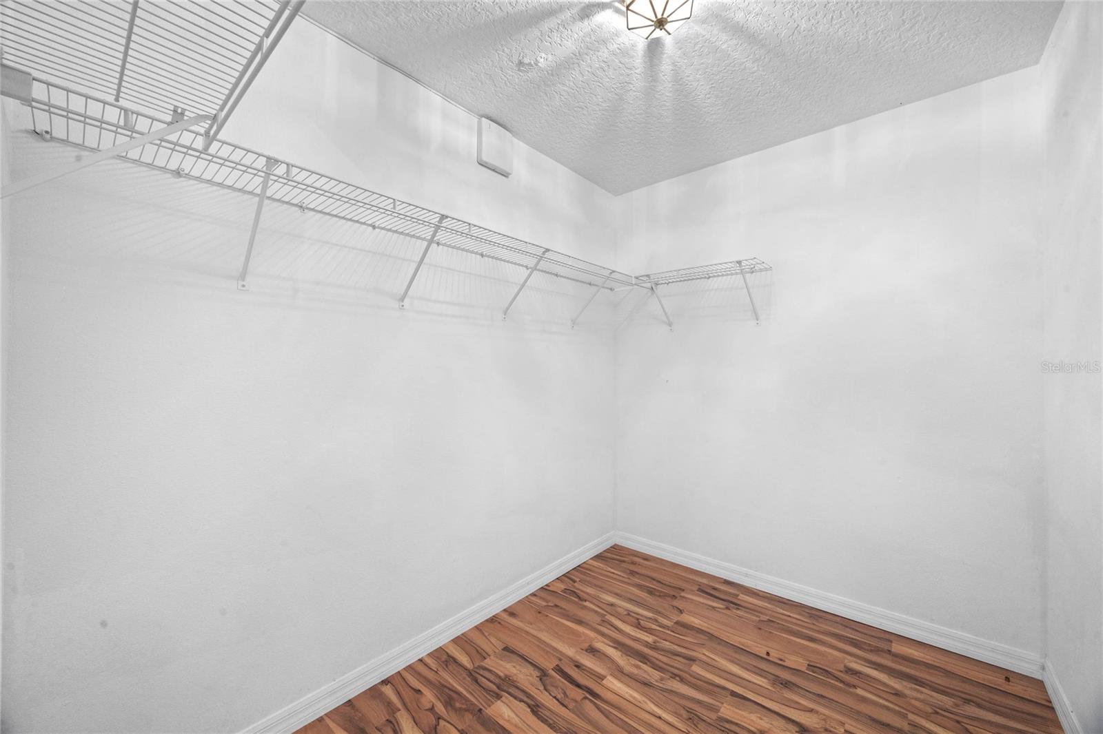 2439 BREEZY MEADOW RD, APOPKA, FL, 32712