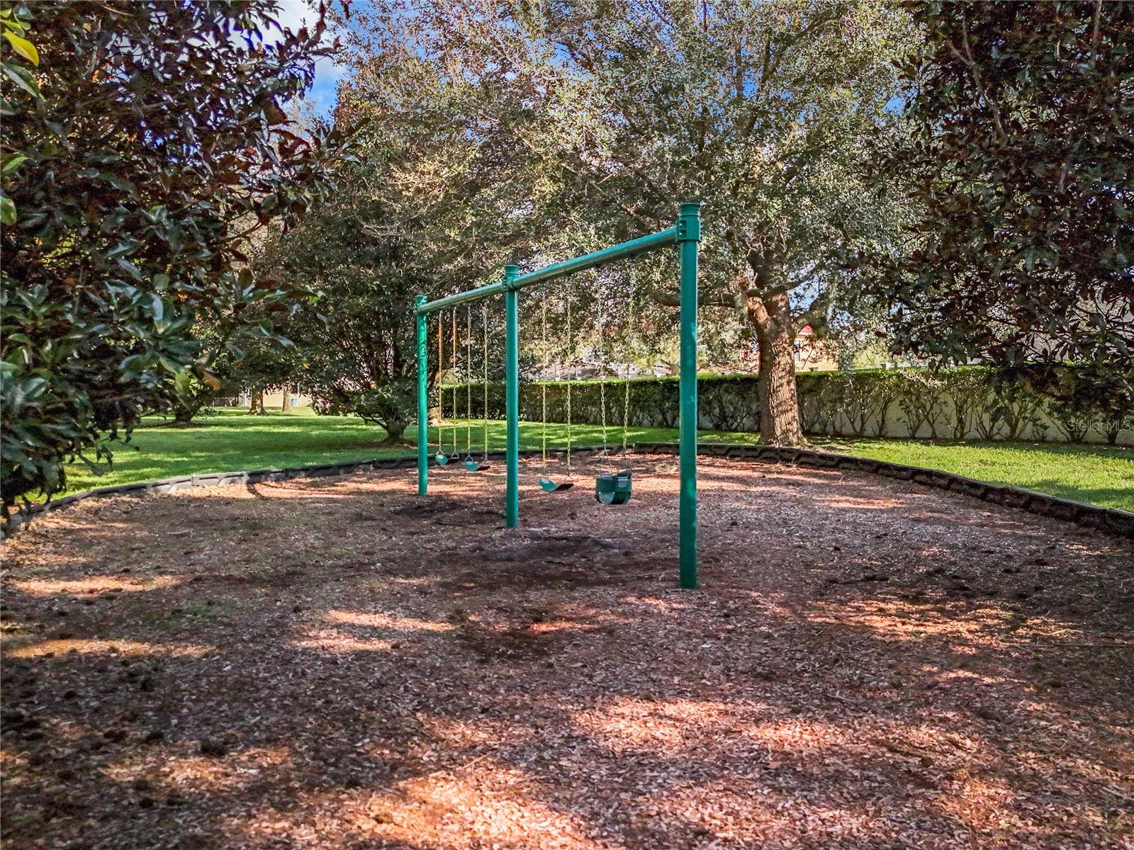 2439 BREEZY MEADOW RD, APOPKA, FL, 32712