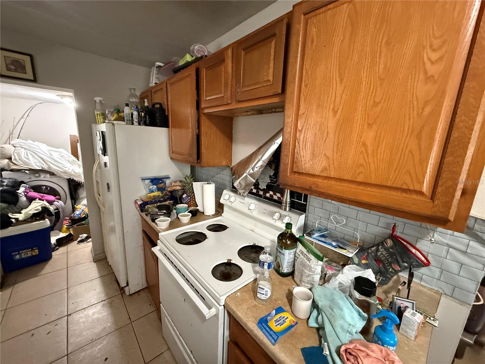 307 E ALTHEA AVE, TAMPA, FL, 33612