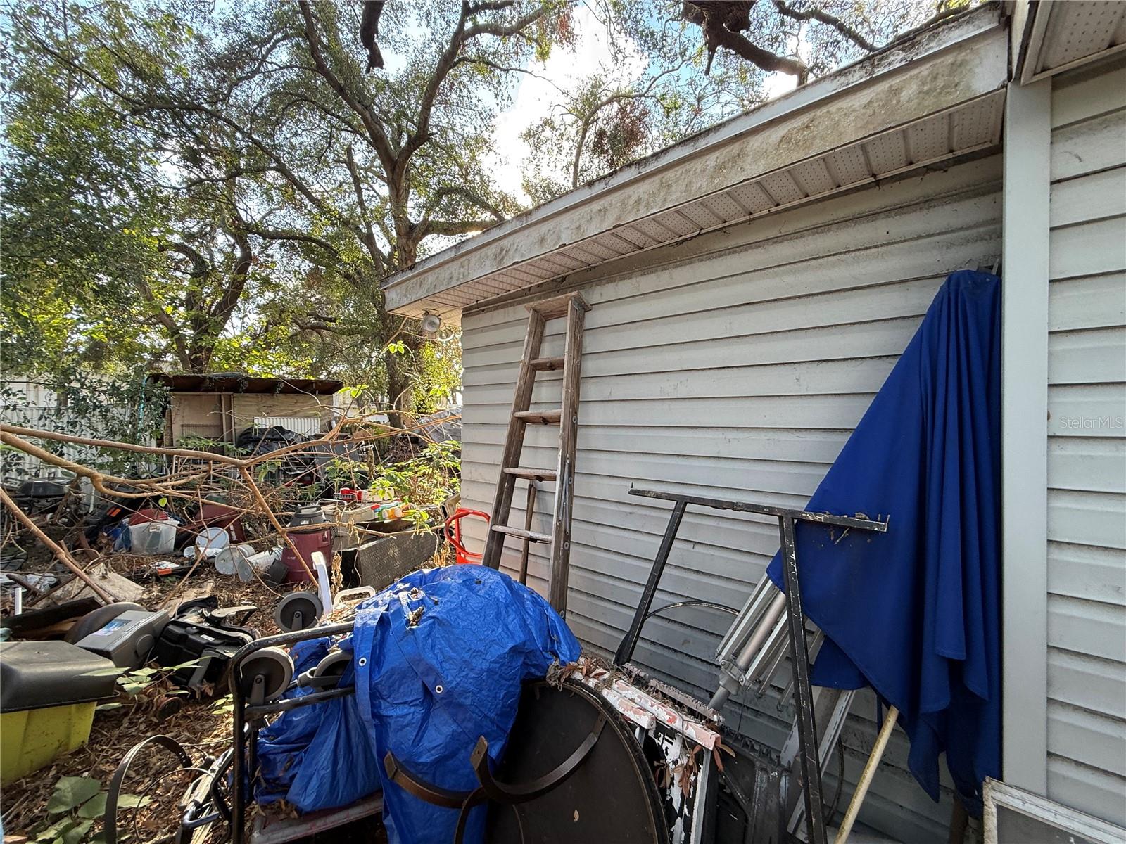 307 E ALTHEA AVE, TAMPA, FL, 33612