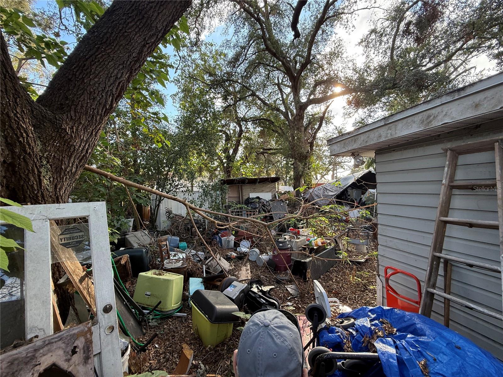 307 E ALTHEA AVE, TAMPA, FL, 33612