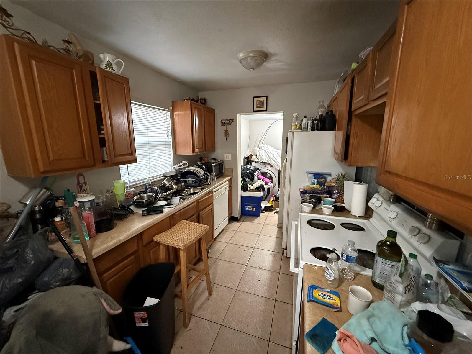 307 E ALTHEA AVE, TAMPA, FL, 33612