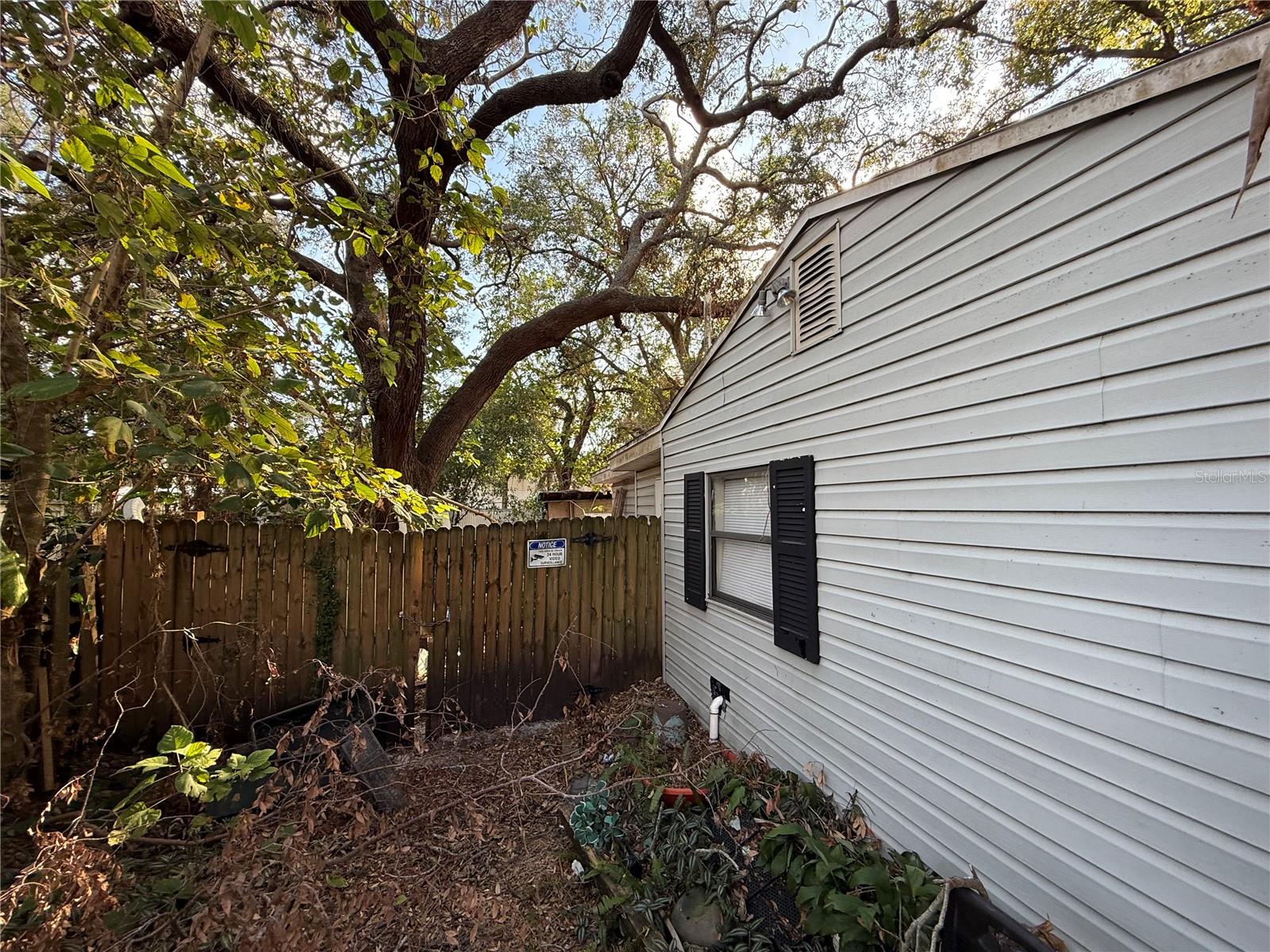 307 E ALTHEA AVE, TAMPA, FL, 33612