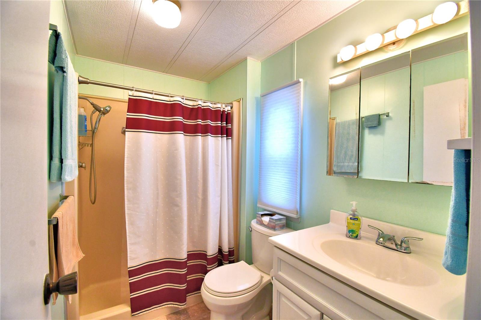 4142 SPRUCEWOOD ST, WINTER HAVEN, FL, 33880