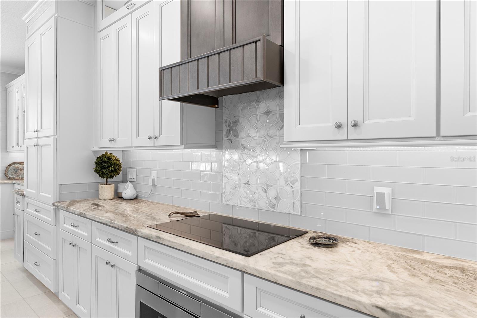 346 CALLIOPE ST, OCOEE, FL, 34761