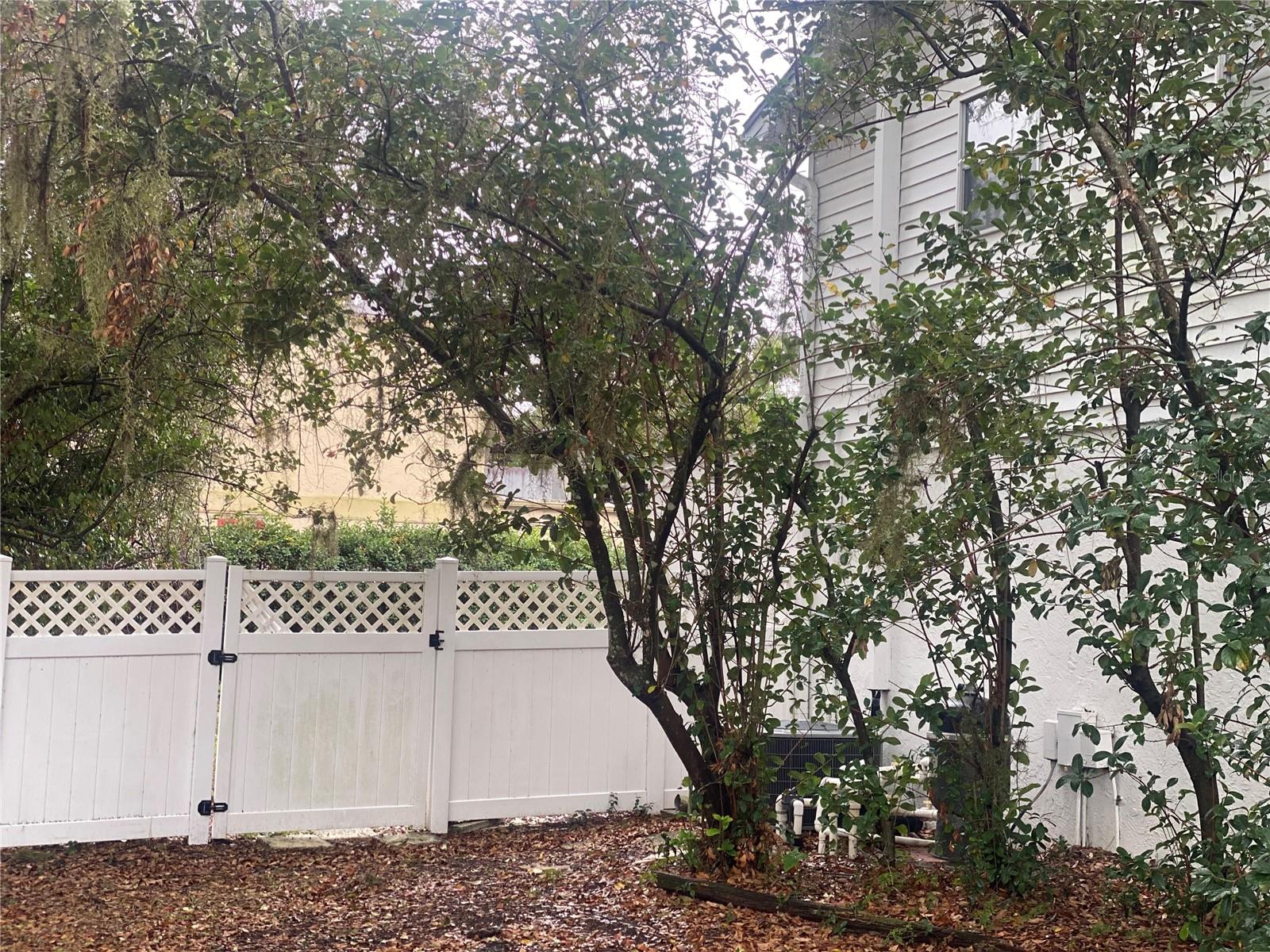 6919 GREENHILL PL, TAMPA, FL, 33617