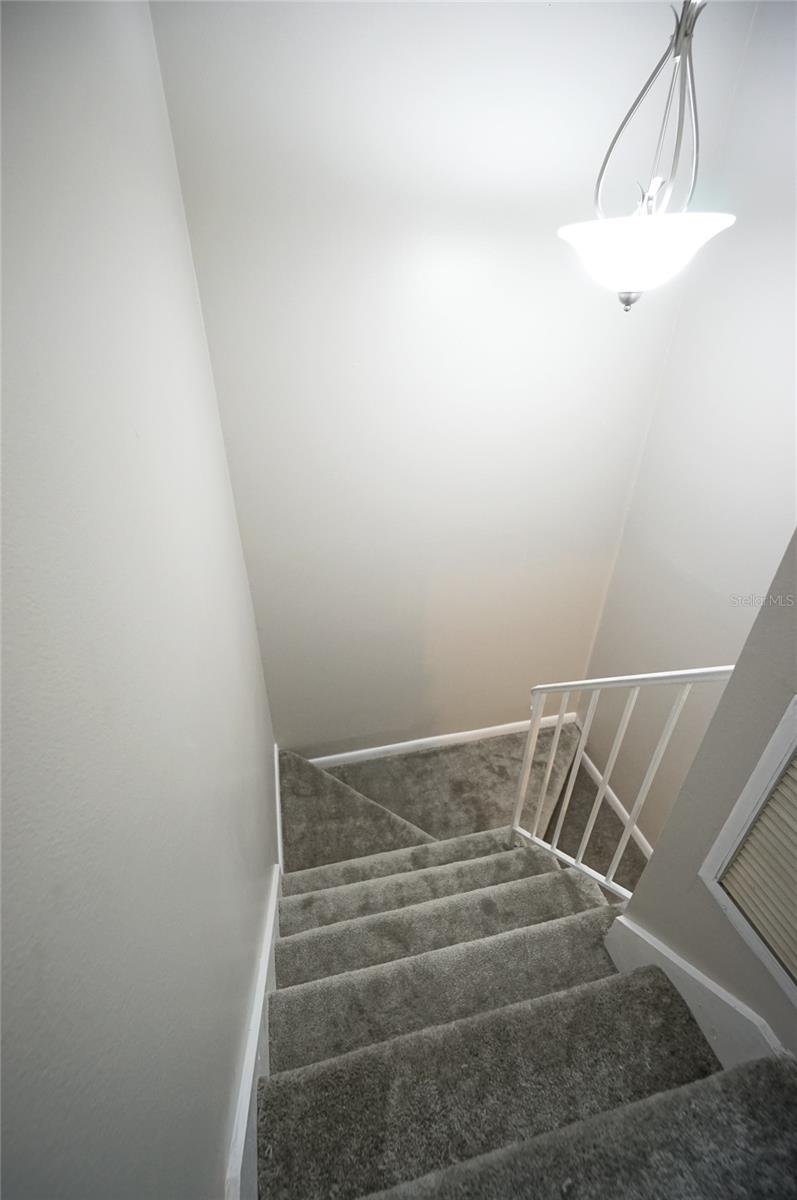 3381 W WYOMING CIR, TAMPA, FL, 33611