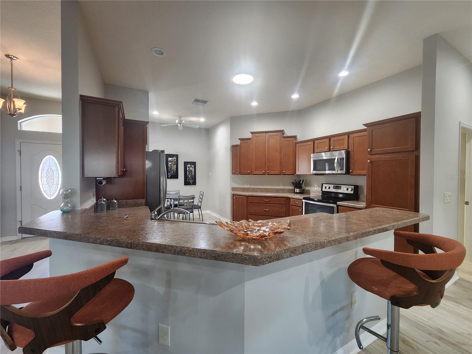 1577 HONEYVILLE LN, THE VILLAGES, FL, 32163