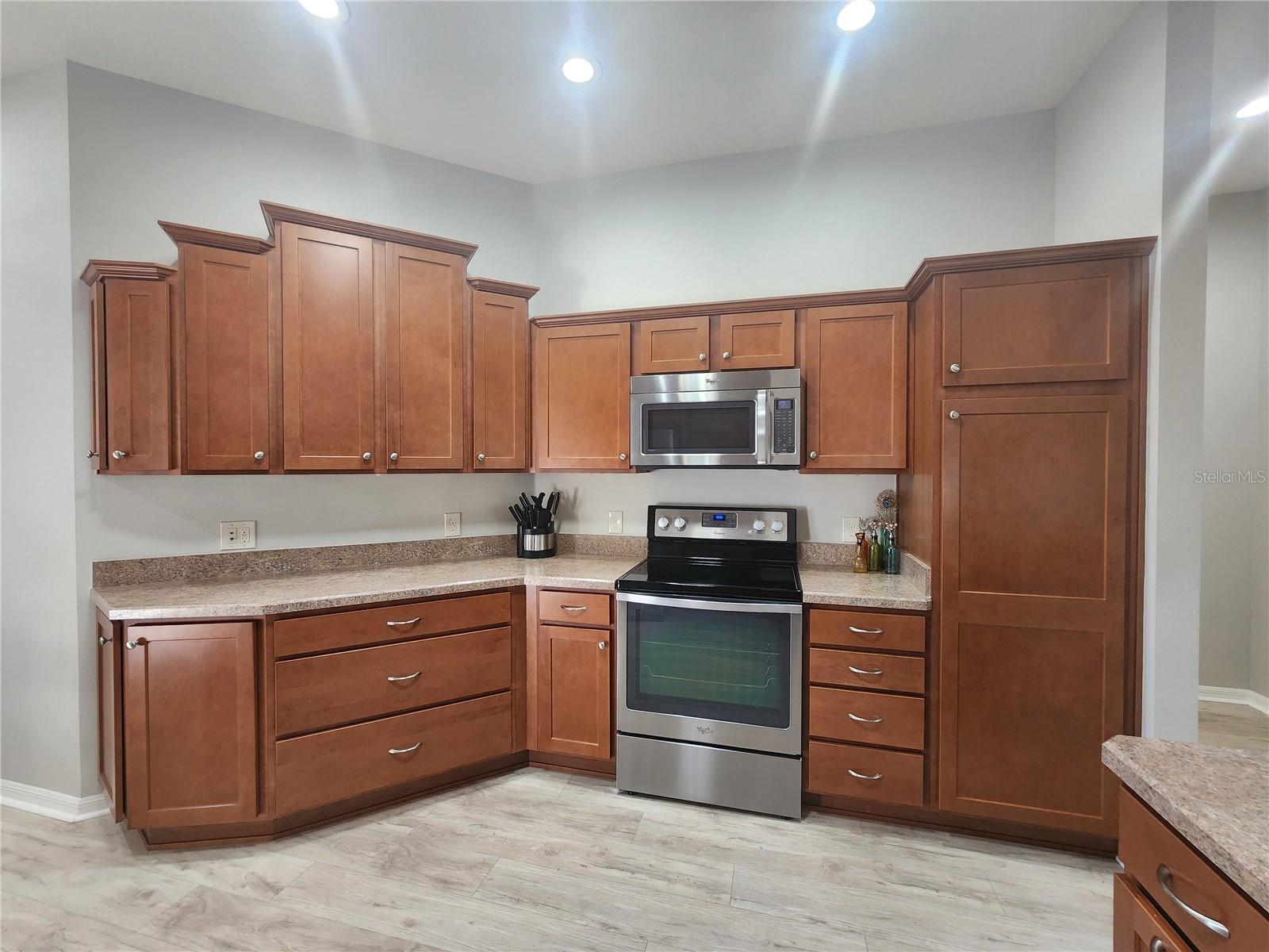 1577 HONEYVILLE LN, THE VILLAGES, FL, 32163