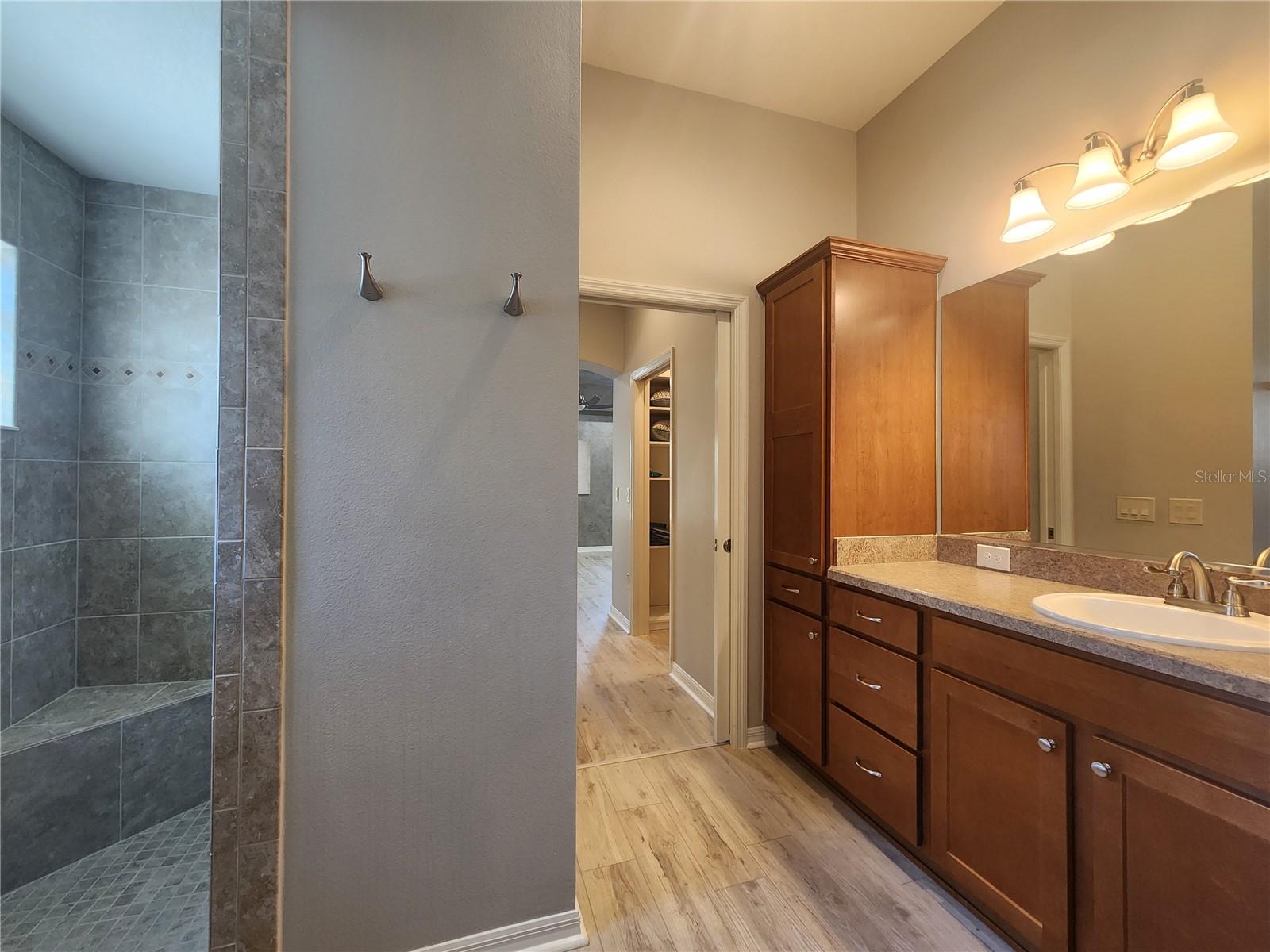 1577 HONEYVILLE LN, THE VILLAGES, FL, 32163