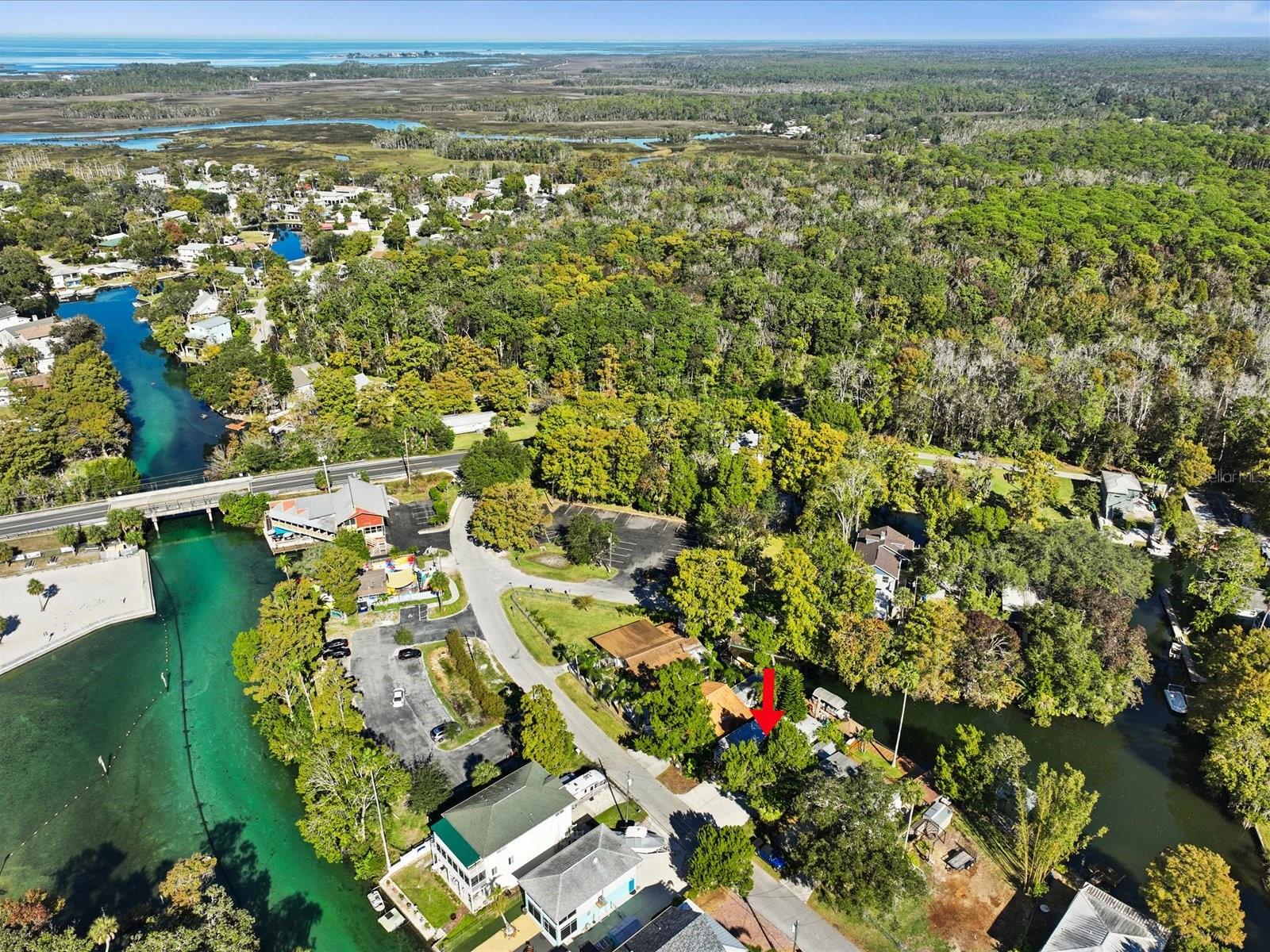 5423 DARLENE ST, WEEKI WACHEE, FL, 34607