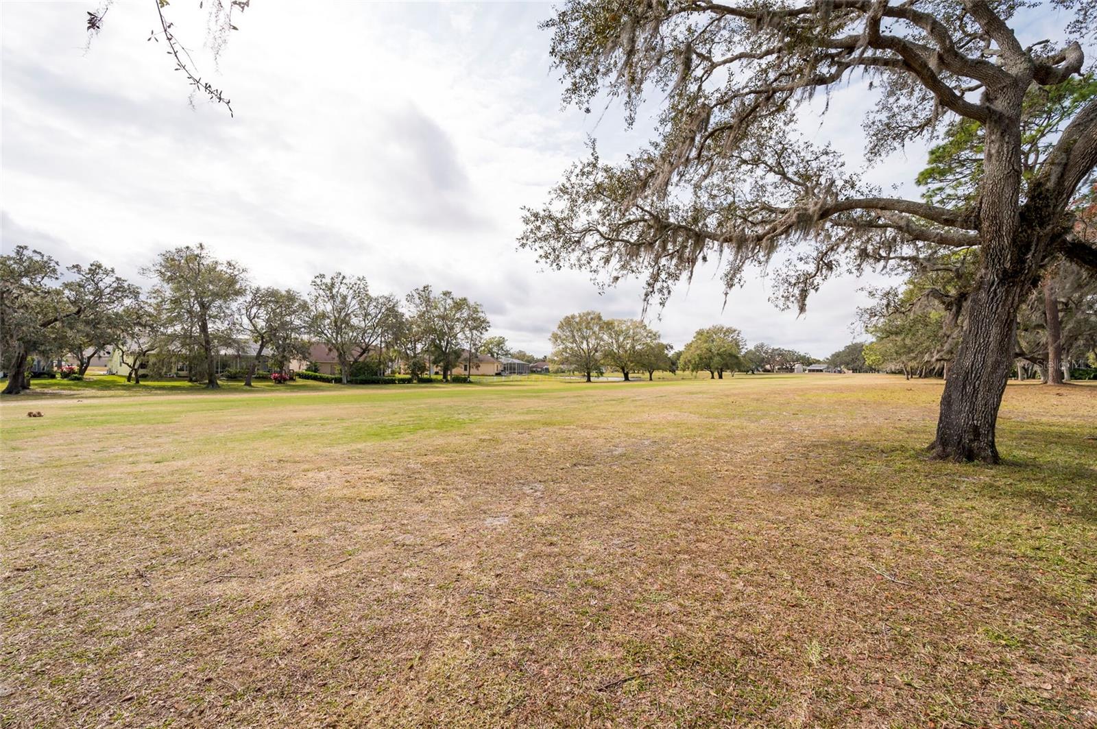 13540 KNOTTY LN, HUDSON, FL, 34669