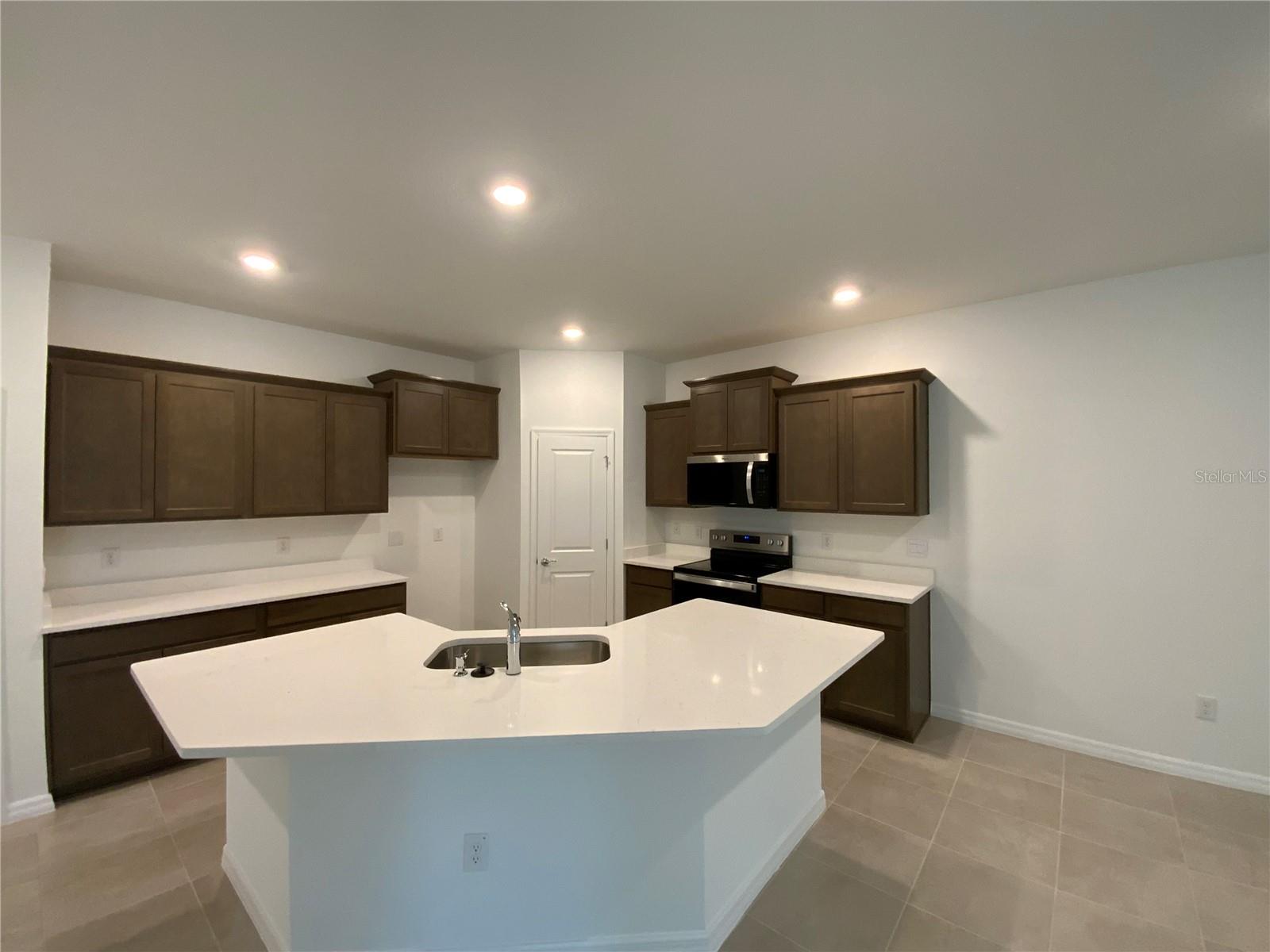 2498 BENDING BONSAI DR, WESLEY CHAPEL, FL, 33543