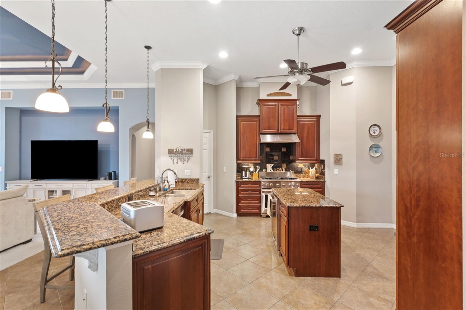 3414 GRAYCLIFF LN, BRANDON, FL, 33511
