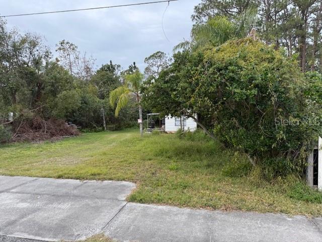 31333 DAVID WALKER DR, TAVARES, FL, 32778