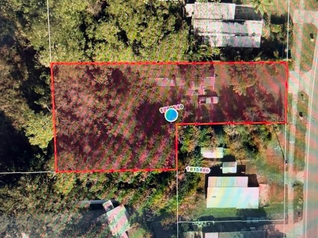 31333 DAVID WALKER DR, TAVARES, FL, 32778