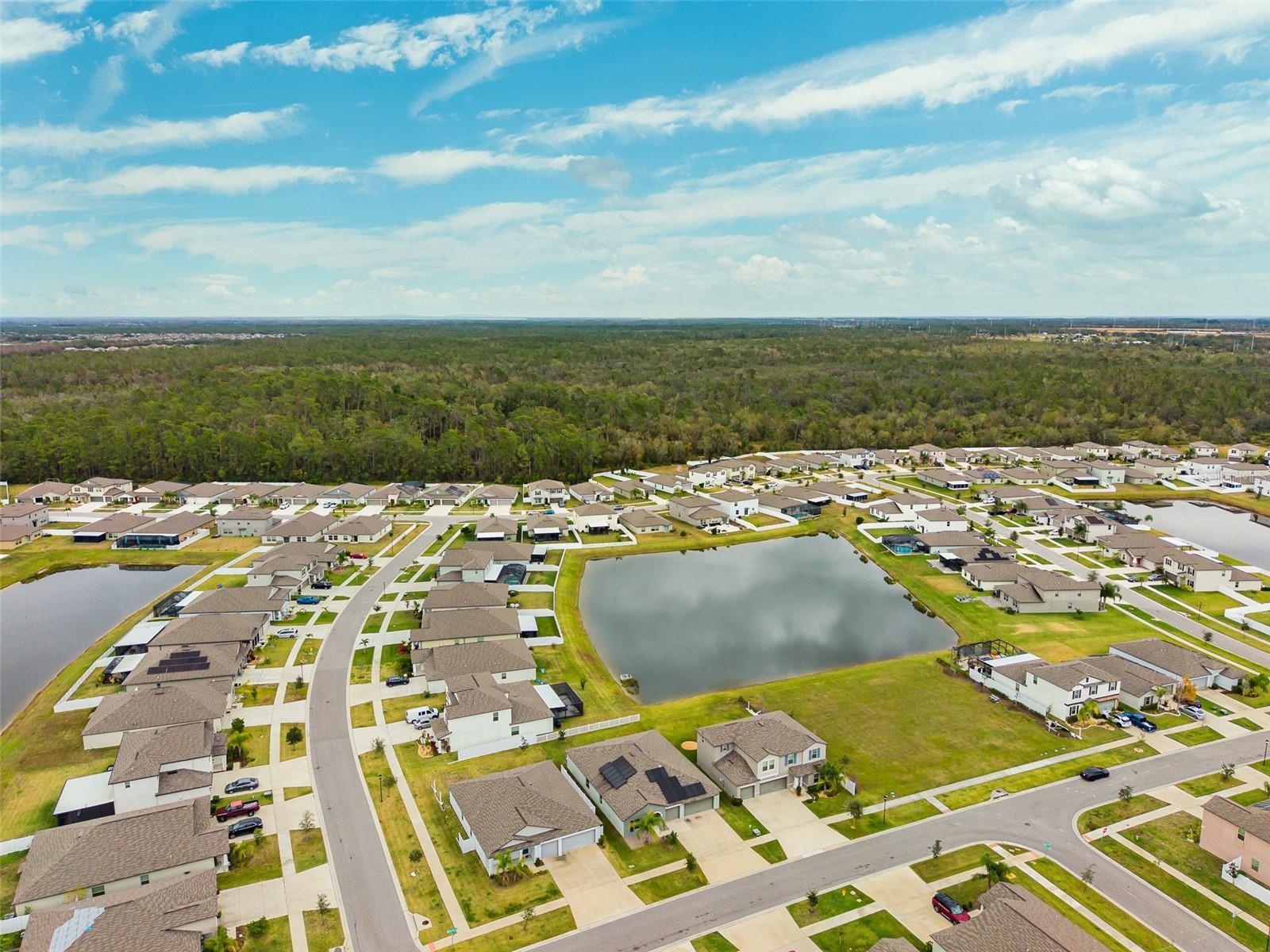 13580 WILLOW BLUESTAR LOOP, RIVERVIEW, FL, 33579