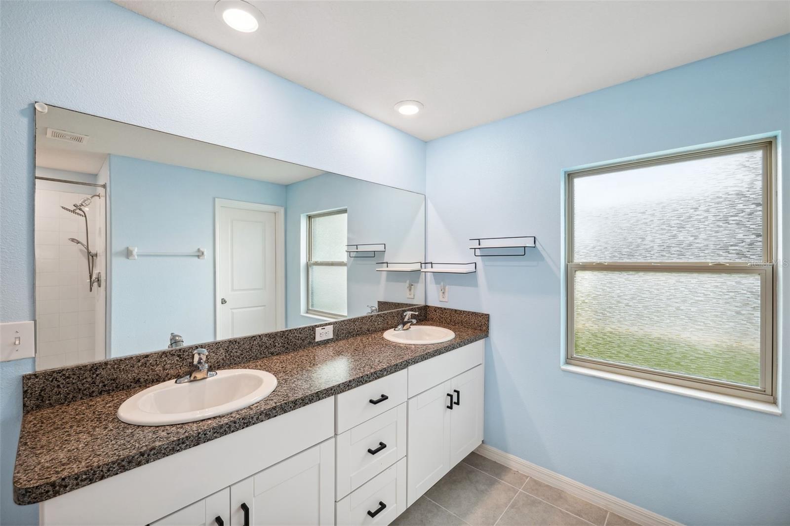 13580 WILLOW BLUESTAR LOOP, RIVERVIEW, FL, 33579