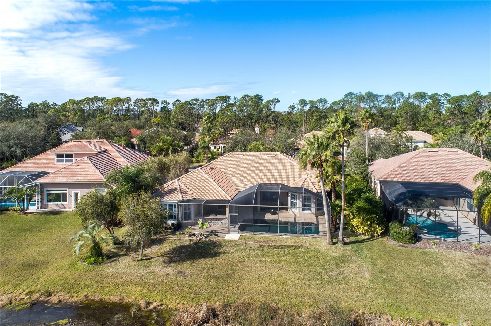 11919 ROYCE WATERFORD CIR, TAMPA, FL, 33626