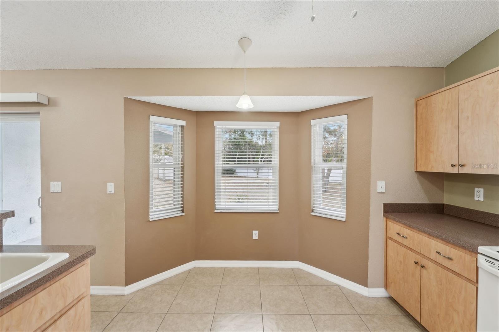 11076 ADDISON ST, SPRING HILL, FL, 34609