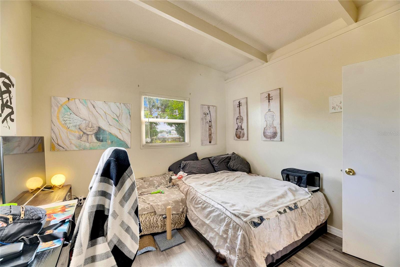 1434 LONGWOOD LOOP, TAMPA, FL, 33619