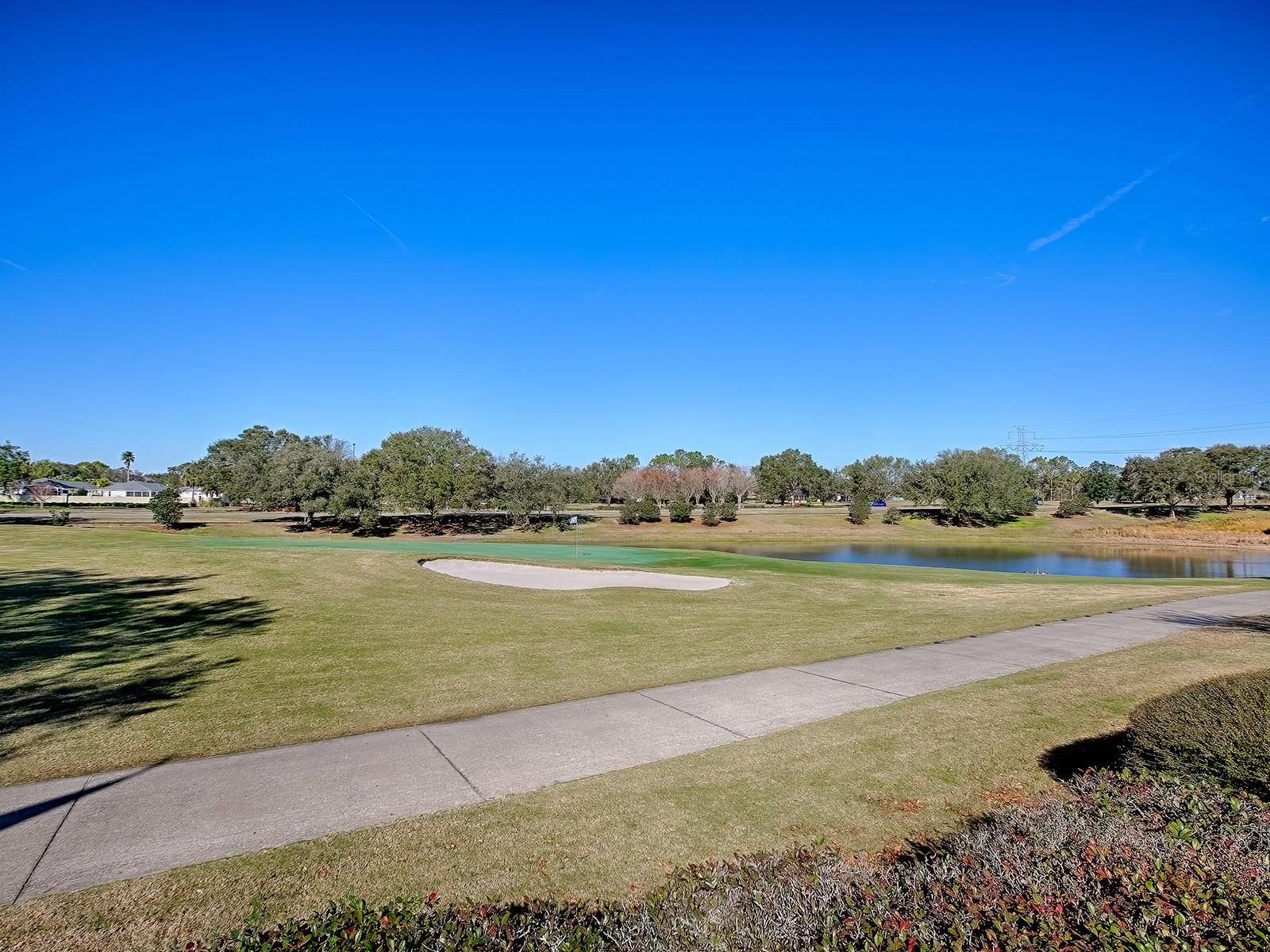 16841 SE 84TH COLERAIN CIR, THE VILLAGES, FL, 32162