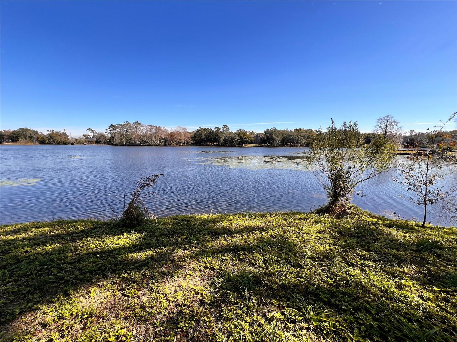 901 SHEILA PL, APOPKA, FL, 32703